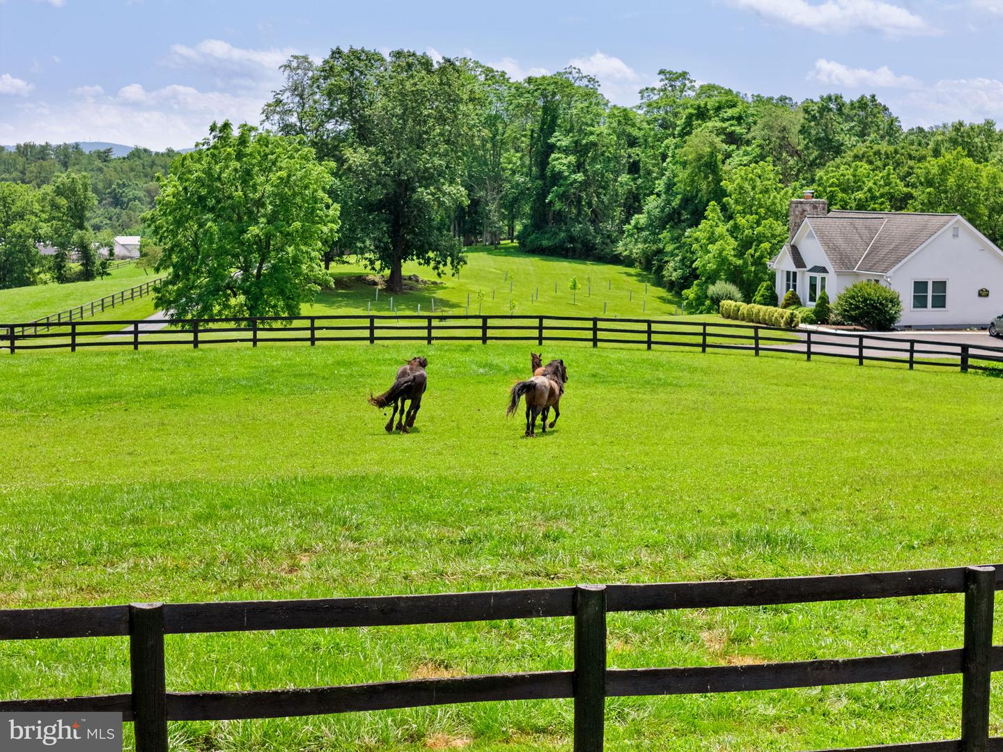 35653 MILLVILLE RD, MIDDLEBURG, Virginia 20117, 4 Bedrooms Bedrooms, ,3 BathroomsBathrooms,Residential,For sale,35653 MILLVILLE RD,VALO2099874 MLS # VALO2099874