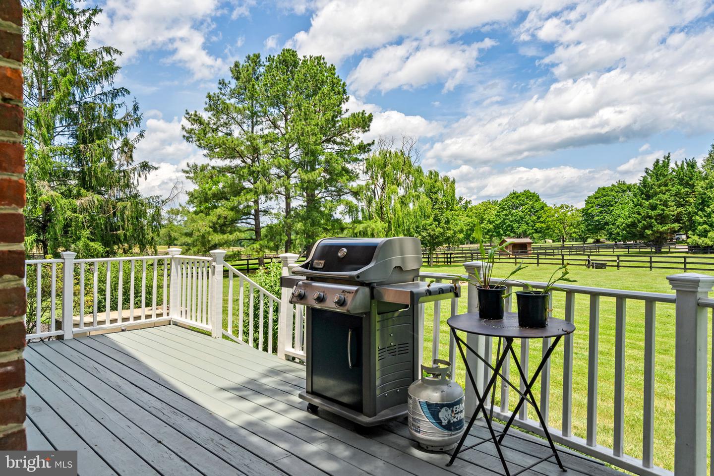 35653 MILLVILLE RD, MIDDLEBURG, Virginia 20117, 4 Bedrooms Bedrooms, ,3 BathroomsBathrooms,Residential,For sale,35653 MILLVILLE RD,VALO2099874 MLS # VALO2099874