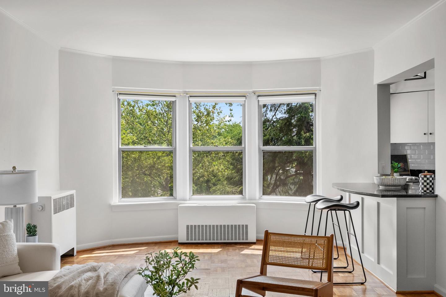 2500 Q ST NW #435, WASHINGTON, District Of Columbia 20007, 1 Bedroom Bedrooms, ,1 BathroomBathrooms,Residential,For sale,2500 Q ST NW #435,DCDC2207428 MLS # DCDC2207428