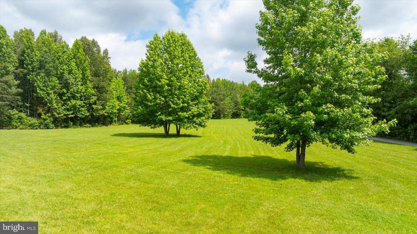 9330 SUNSHINE SCHOOL RD, WOODFORD, Virginia 22580, 4 Bedrooms Bedrooms, ,3 BathroomsBathrooms,Residential,For sale,9330 SUNSHINE SCHOOL RD,VACV2008356 MLS # VACV2008356