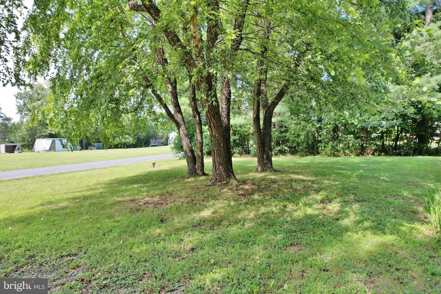 107 CRISMAN RD, EDINBURG, Virginia 22824, 3 Bedrooms Bedrooms, ,2 BathroomsBathrooms,Residential,For sale,107 CRISMAN RD,VASH2011774 MLS # VASH2011774