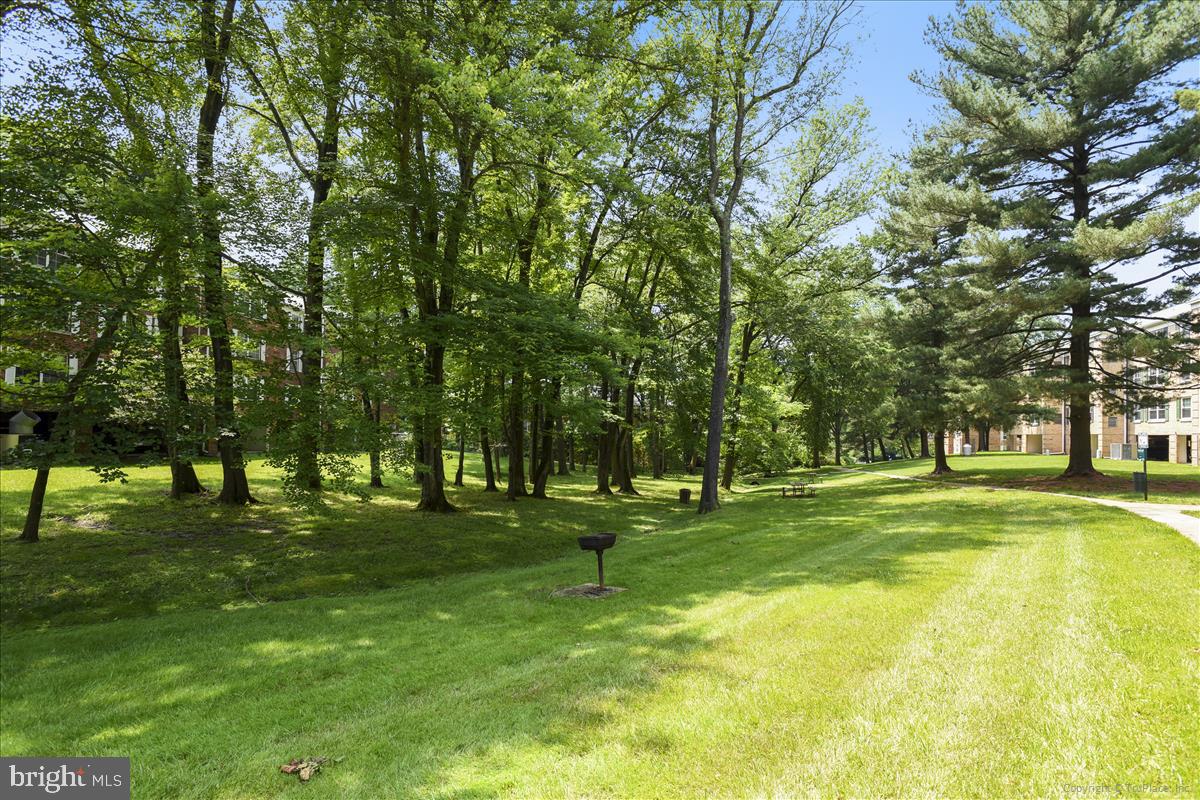 7621 TREMAYNE PL #303, MCLEAN, Virginia 22102, 2 Bedrooms Bedrooms, ,2 BathroomsBathrooms,Residential,For sale,7621 TREMAYNE PL #303,VAFX2240916 MLS # VAFX2240916