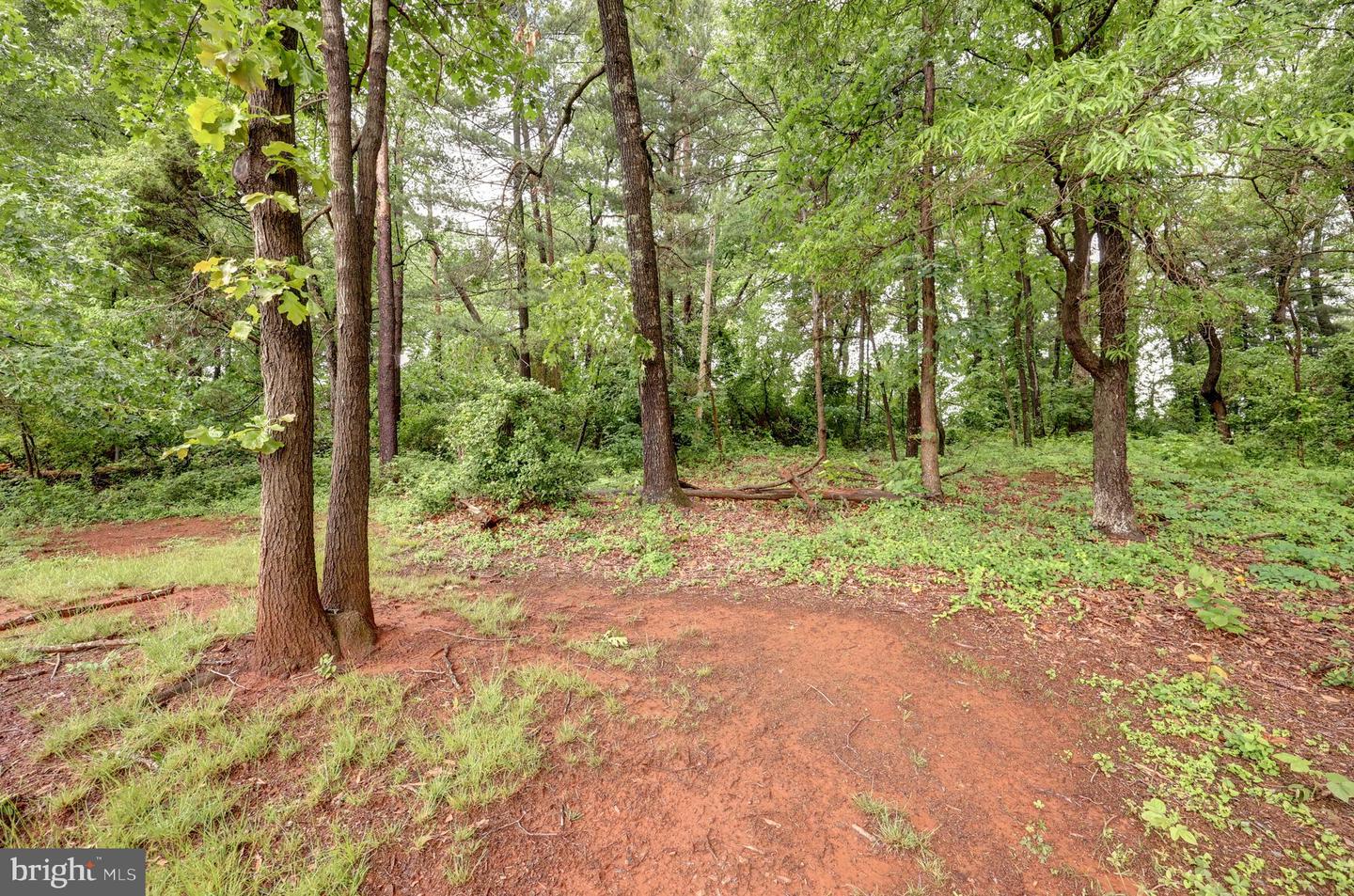 10041 FOSTER DR, MANASSAS, Virginia 20110, ,Land,For sale,10041 FOSTER DR,VAMN2008324 MLS # VAMN2008324