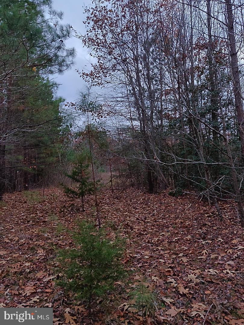 US ROUTE 1, RUTHER GLEN, Virginia 22546, ,Land,For sale,US ROUTE 1,VACV2008370 MLS # VACV2008370