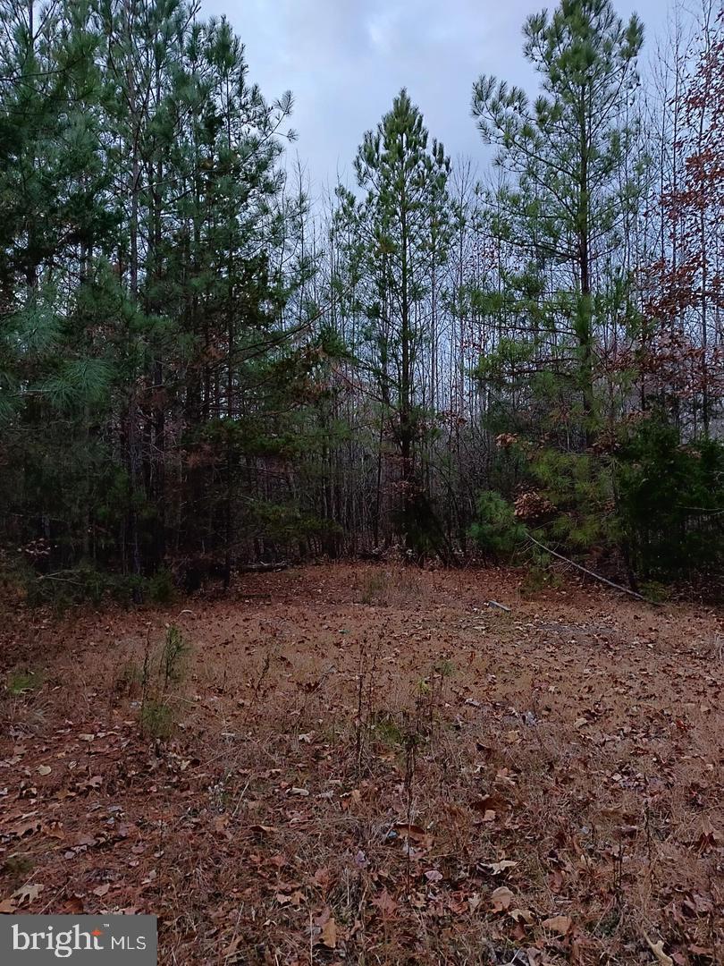 US ROUTE 1, RUTHER GLEN, Virginia 22546, ,Land,For sale,US ROUTE 1,VACV2008370 MLS # VACV2008370