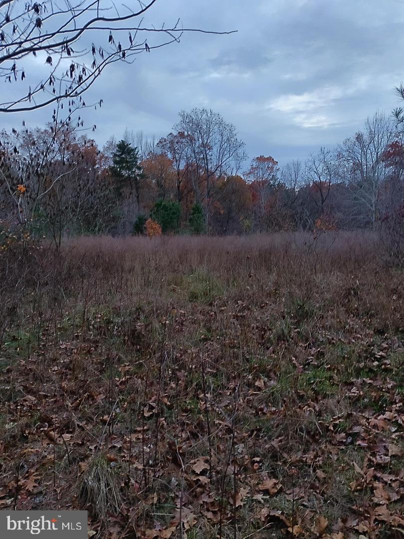 US ROUTE 1, RUTHER GLEN, Virginia 22546, ,Land,For sale,US ROUTE 1,VACV2008370 MLS # VACV2008370
