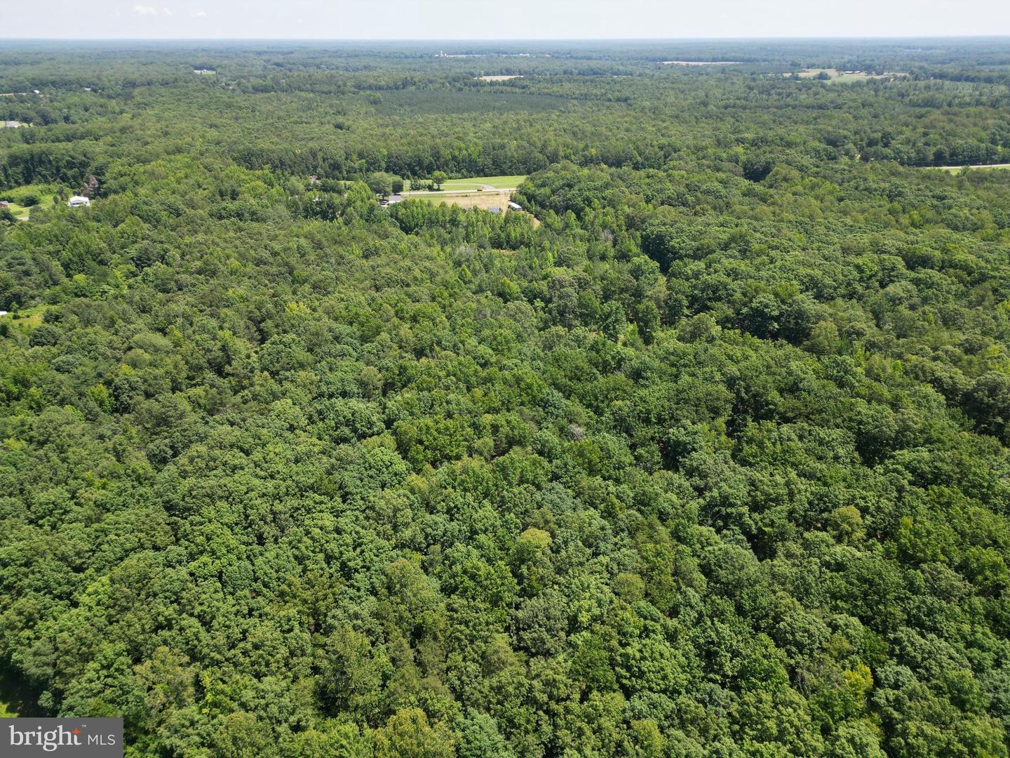 18295 MOUNTAIN RD, MONTPELIER, Virginia 23192, ,Land,For sale,18295 MOUNTAIN RD,VAHA2001014 MLS # VAHA2001014