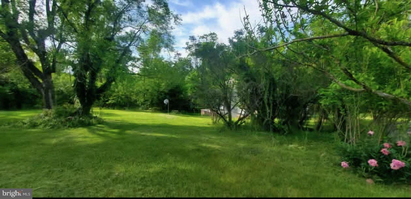 769 S WATER ST, WOODSTOCK, Virginia 22664, 4 Bedrooms Bedrooms, ,2 BathroomsBathrooms,Residential,For sale,769 S WATER ST,VASH2011796 MLS # VASH2011796
