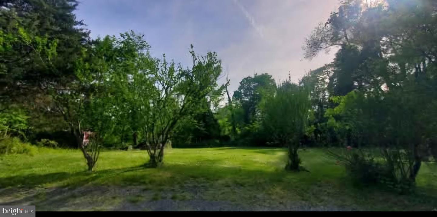 769 S WATER ST, WOODSTOCK, Virginia 22664, 4 Bedrooms Bedrooms, ,2 BathroomsBathrooms,Residential,For sale,769 S WATER ST,VASH2011796 MLS # VASH2011796