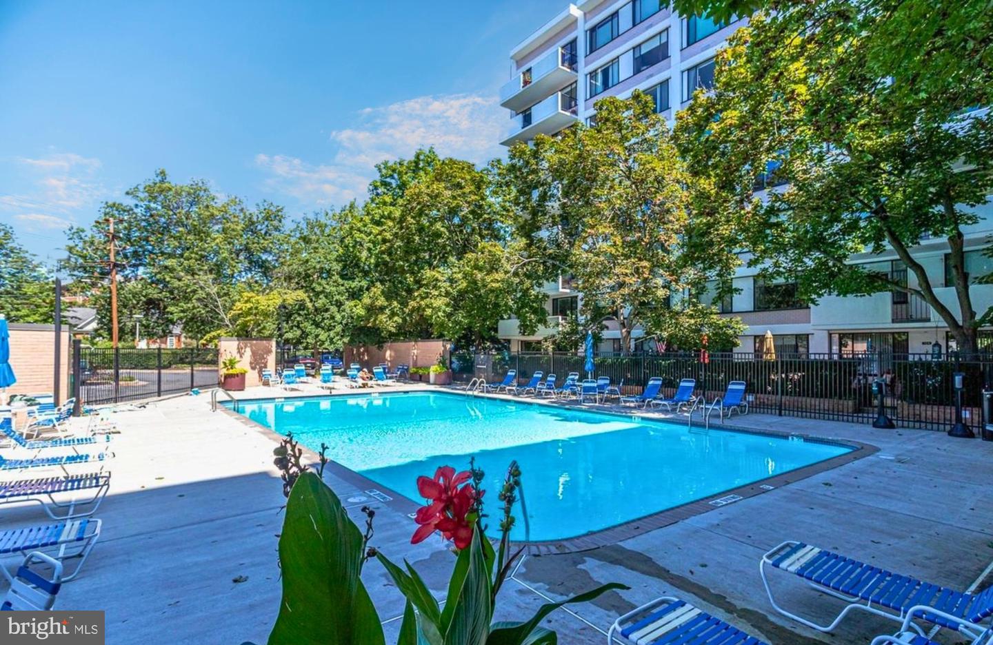 4501 ARLINGTON BLVD #118, ARLINGTON, Virginia 22203, 2 Bedrooms Bedrooms, 7 Rooms Rooms,2 BathroomsBathrooms,Residential,For sale,4501 ARLINGTON BLVD #118,VAAR2056136 MLS # VAAR2056136