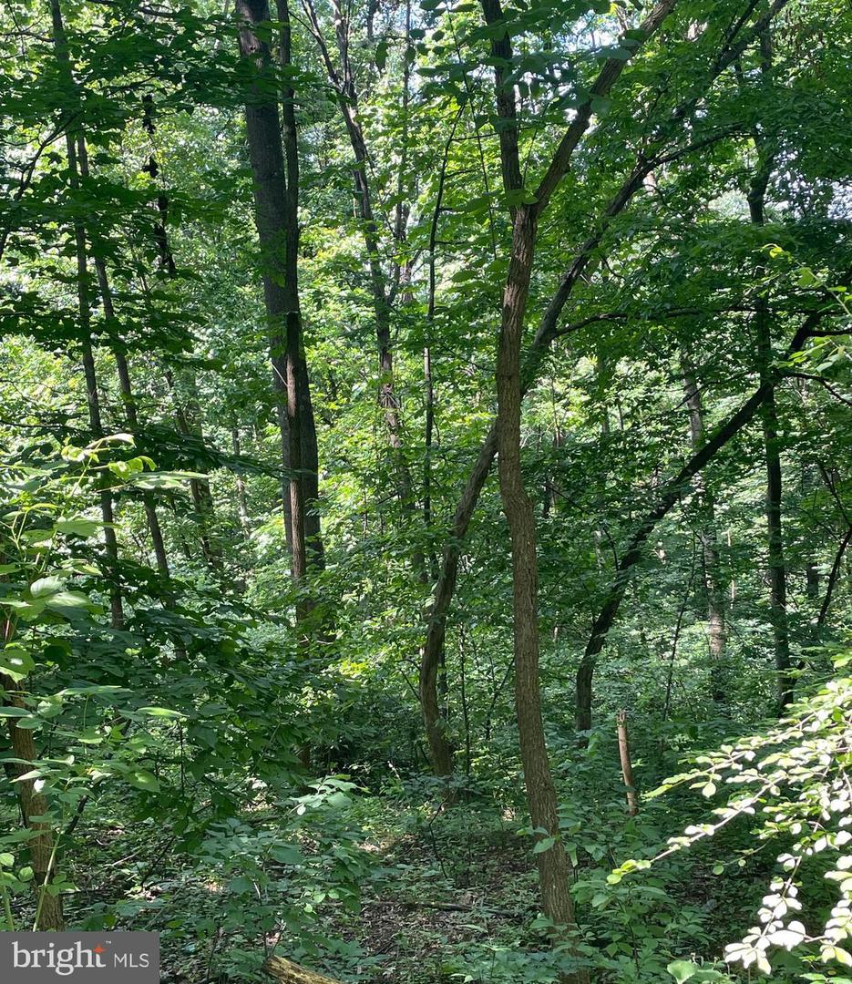 WALNUT TREE CT. RD #LOT 9, BLOCK F, FRONT ROYAL, Virginia 22630, ,Land,For sale,WALNUT TREE CT. RD #LOT 9, BLOCK F,VAWR2011564 MLS # VAWR2011564