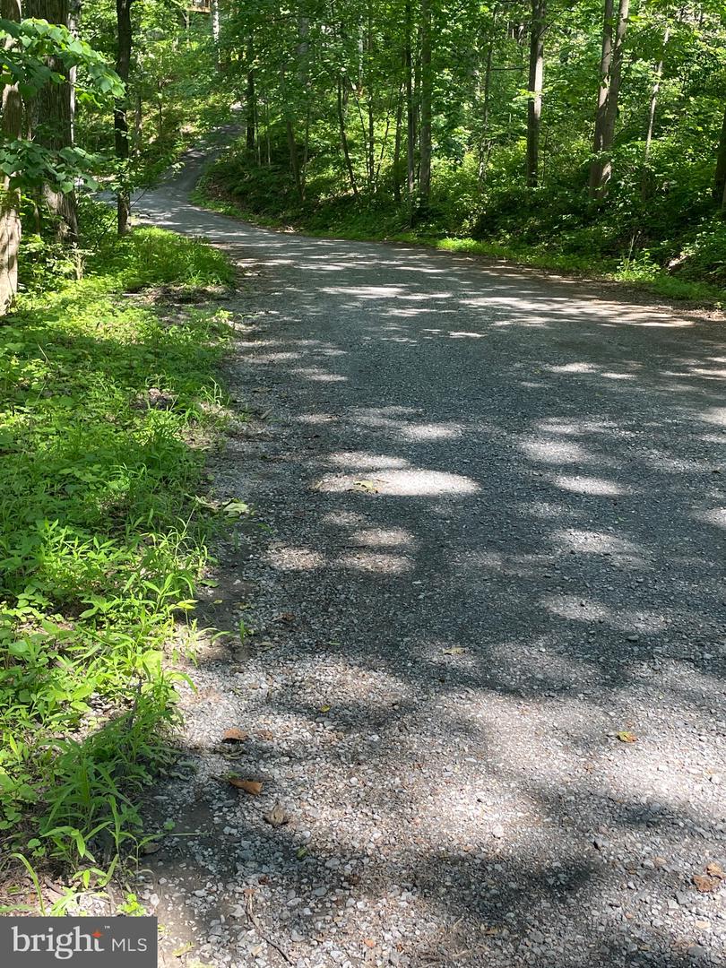WALNUT TREE CT. RD #LOT 9, BLOCK F, FRONT ROYAL, Virginia 22630, ,Land,For sale,WALNUT TREE CT. RD #LOT 9, BLOCK F,VAWR2011564 MLS # VAWR2011564