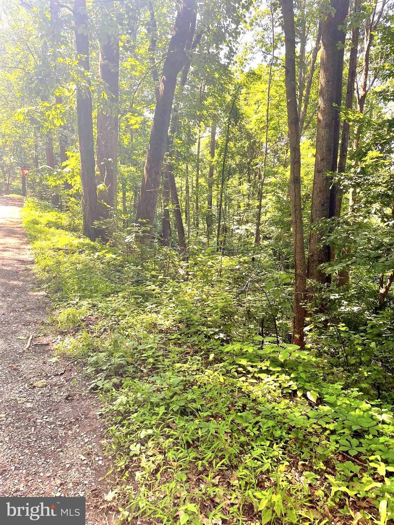 WALNUT TREE CT. RD #LOT 9, BLOCK F, FRONT ROYAL, Virginia 22630, ,Land,For sale,WALNUT TREE CT. RD #LOT 9, BLOCK F,VAWR2011564 MLS # VAWR2011564