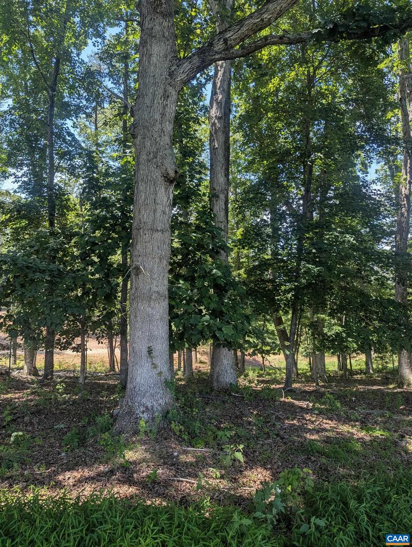 LOT 7 ADVANCE MILLS RD #7, RUCKERSVILLE, Virginia 22968, ,Land,For sale,LOT 7 ADVANCE MILLS RD #7,666056 MLS # 666056