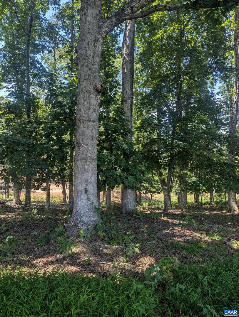 LOT 7 ADVANCE MILLS RD #7, RUCKERSVILLE, Virginia 22968, ,Land,For sale,LOT 7 ADVANCE MILLS RD #7,666056 MLS # 666056