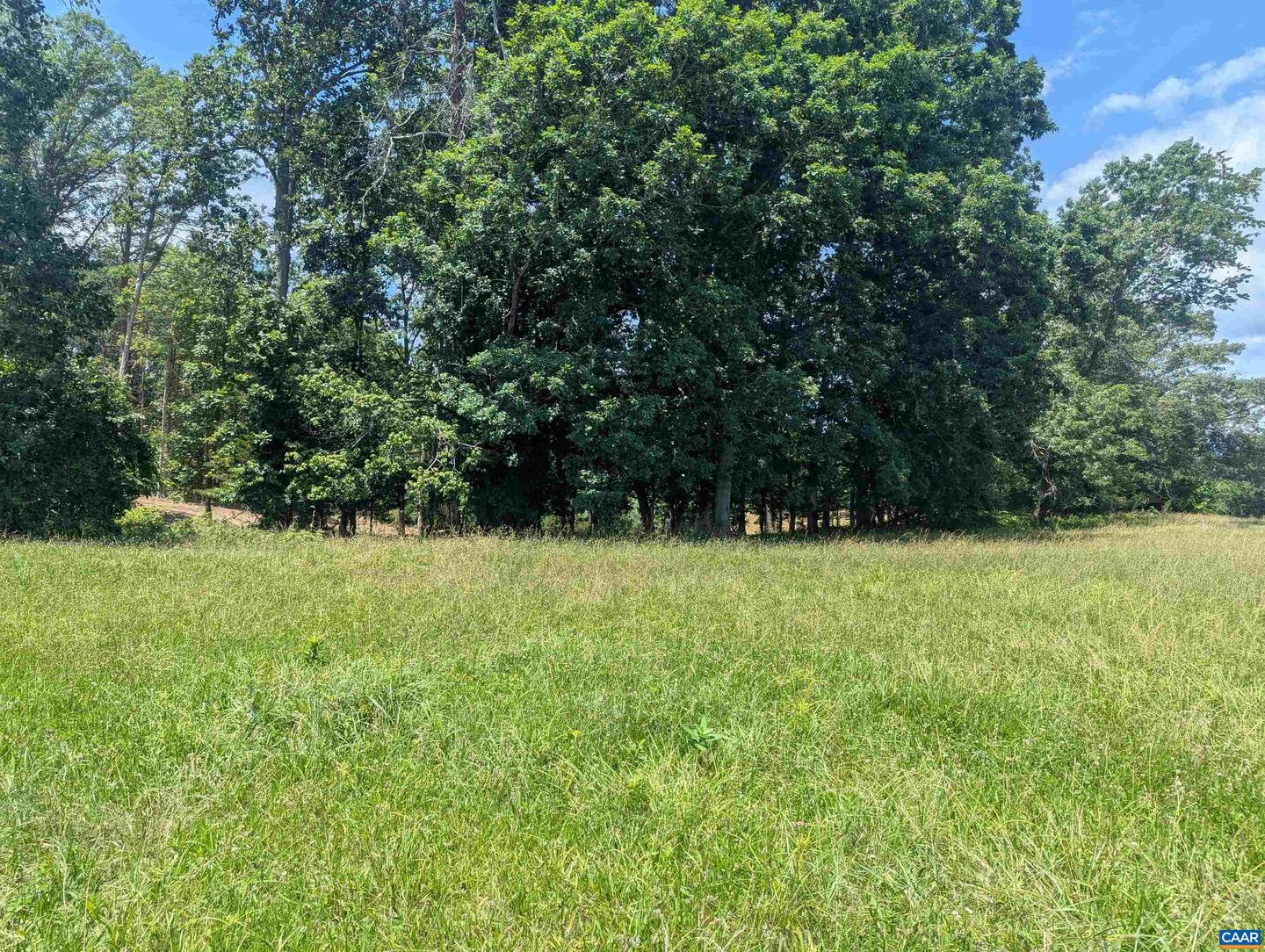 LOT 7 ADVANCE MILLS RD #7, RUCKERSVILLE, Virginia 22968, ,Land,For sale,LOT 7 ADVANCE MILLS RD #7,666056 MLS # 666056