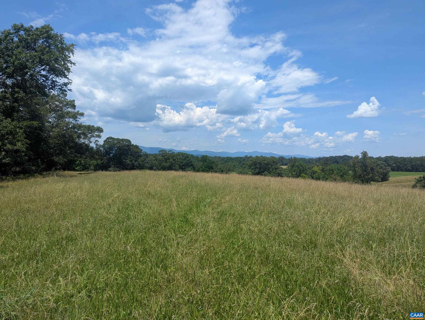 LOT 7 ADVANCE MILLS RD #7, RUCKERSVILLE, Virginia 22968, ,Land,For sale,LOT 7 ADVANCE MILLS RD #7,666056 MLS # 666056