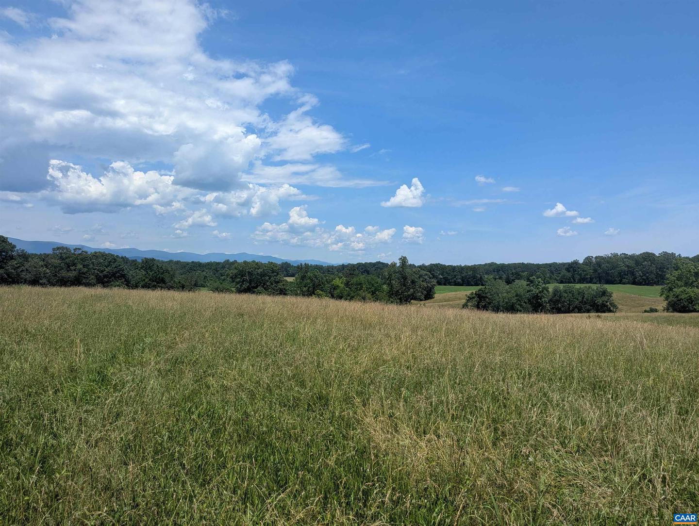 LOT 7 ADVANCE MILLS RD #7, RUCKERSVILLE, Virginia 22968, ,Land,For sale,LOT 7 ADVANCE MILLS RD #7,666056 MLS # 666056