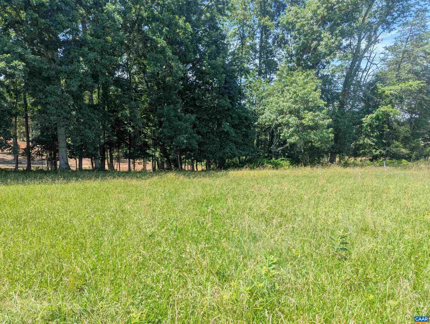LOT 7 ADVANCE MILLS RD #7, RUCKERSVILLE, Virginia 22968, ,Land,For sale,LOT 7 ADVANCE MILLS RD #7,666056 MLS # 666056