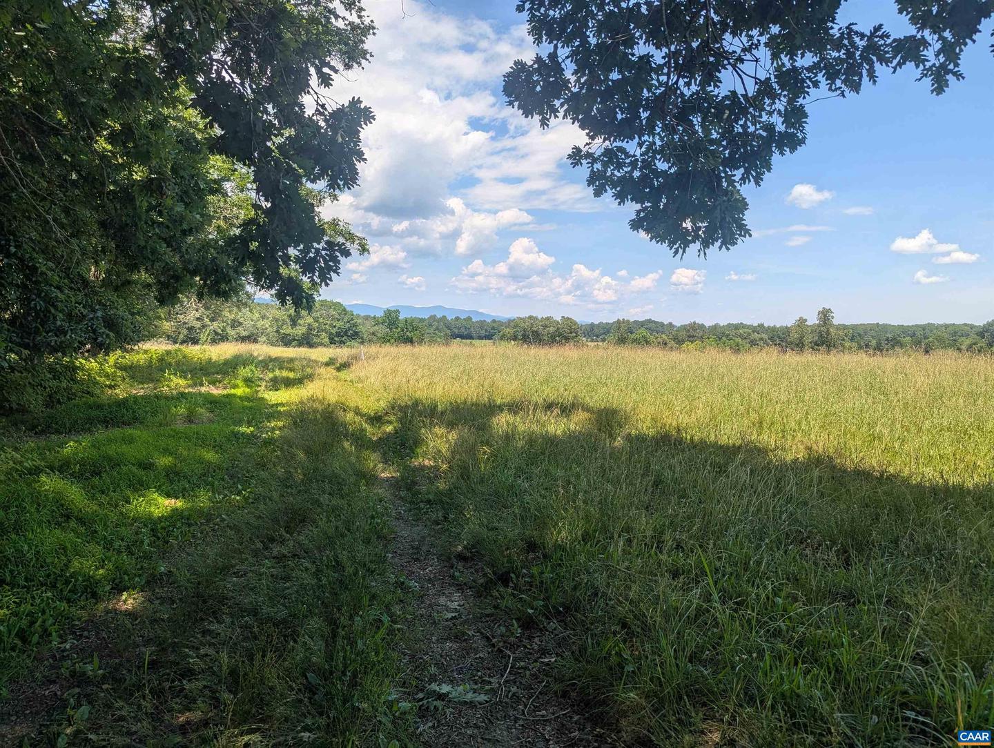 LOT 7 ADVANCE MILLS RD #7, RUCKERSVILLE, Virginia 22968, ,Land,For sale,LOT 7 ADVANCE MILLS RD #7,666056 MLS # 666056
