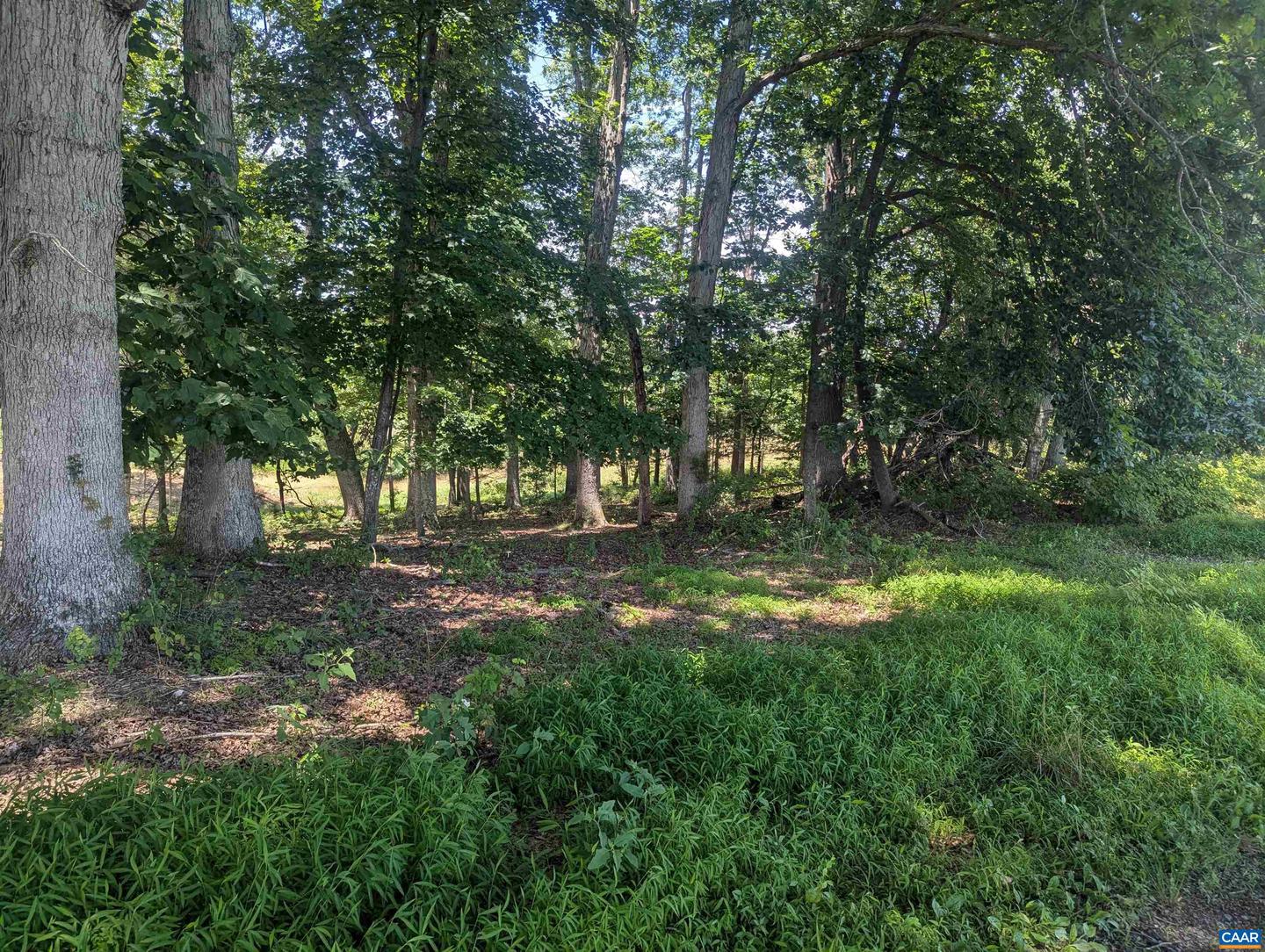 LOT 7 ADVANCE MILLS RD #7, RUCKERSVILLE, Virginia 22968, ,Land,For sale,LOT 7 ADVANCE MILLS RD #7,666056 MLS # 666056