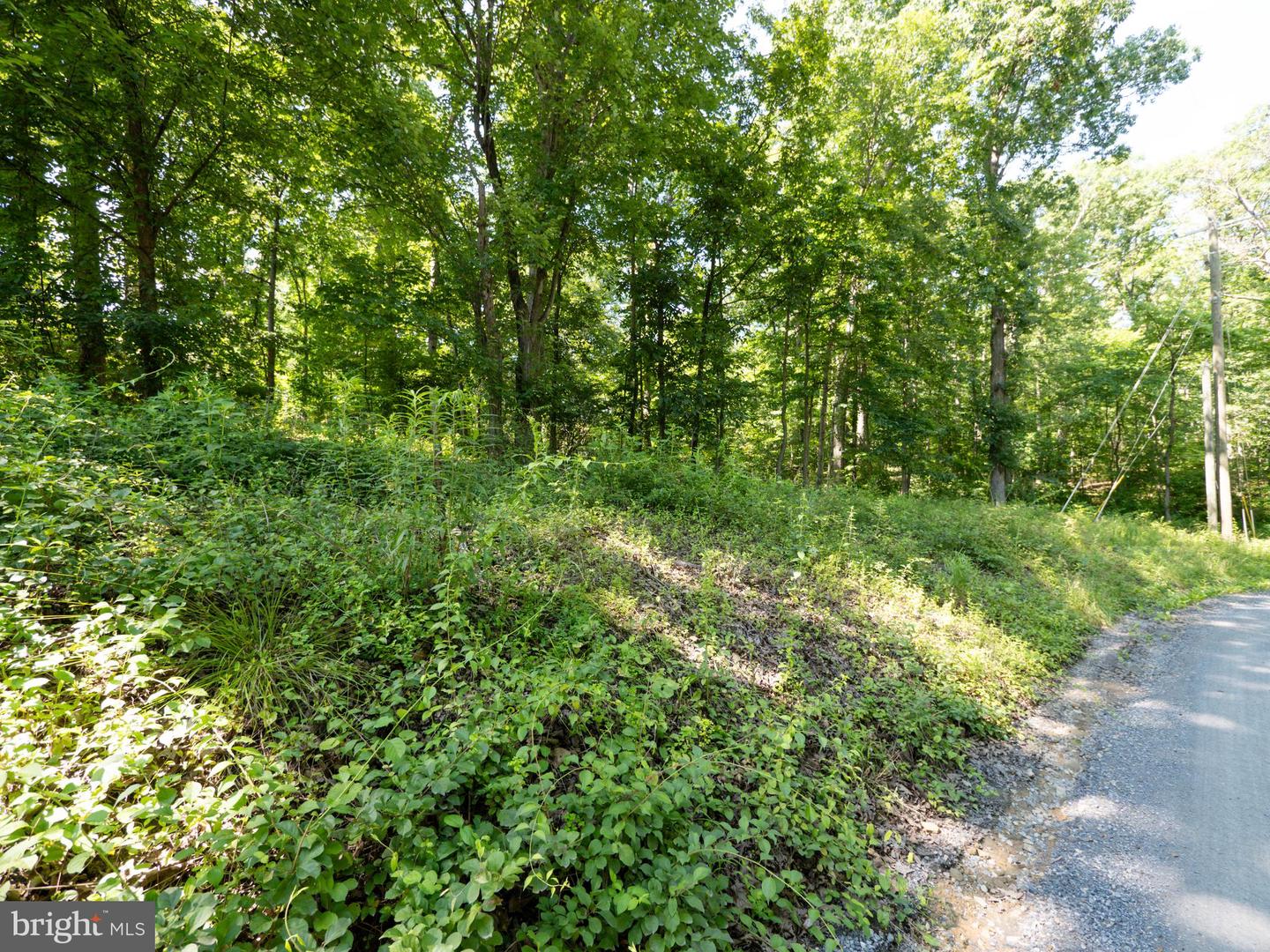 LOT 358 WESTERN LN, FRONT ROYAL, Virginia 22630, ,Land,For sale,LOT 358 WESTERN LN,VAWR2011566 MLS # VAWR2011566