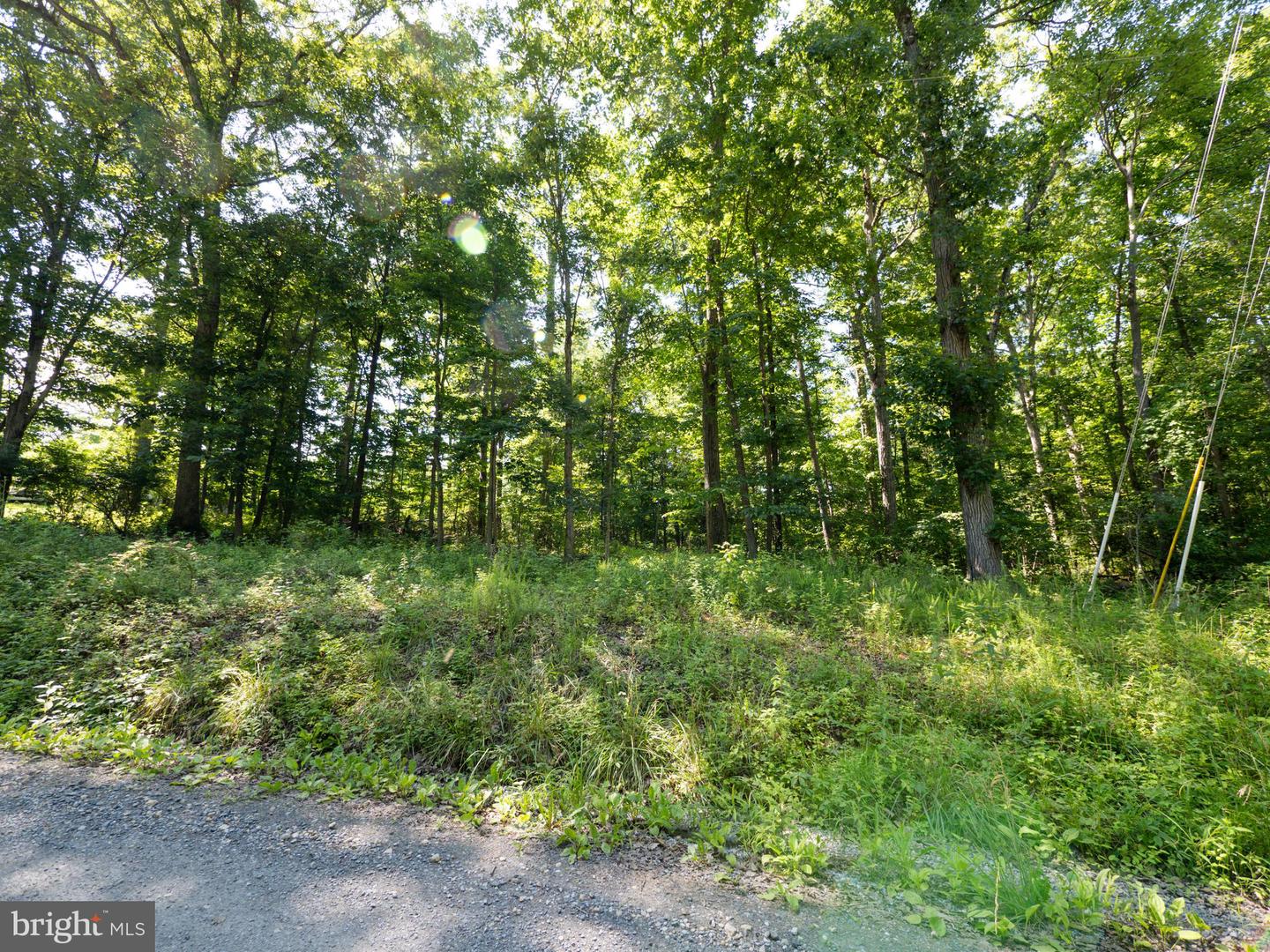 LOT 358 WESTERN LN, FRONT ROYAL, Virginia 22630, ,Land,For sale,LOT 358 WESTERN LN,VAWR2011566 MLS # VAWR2011566