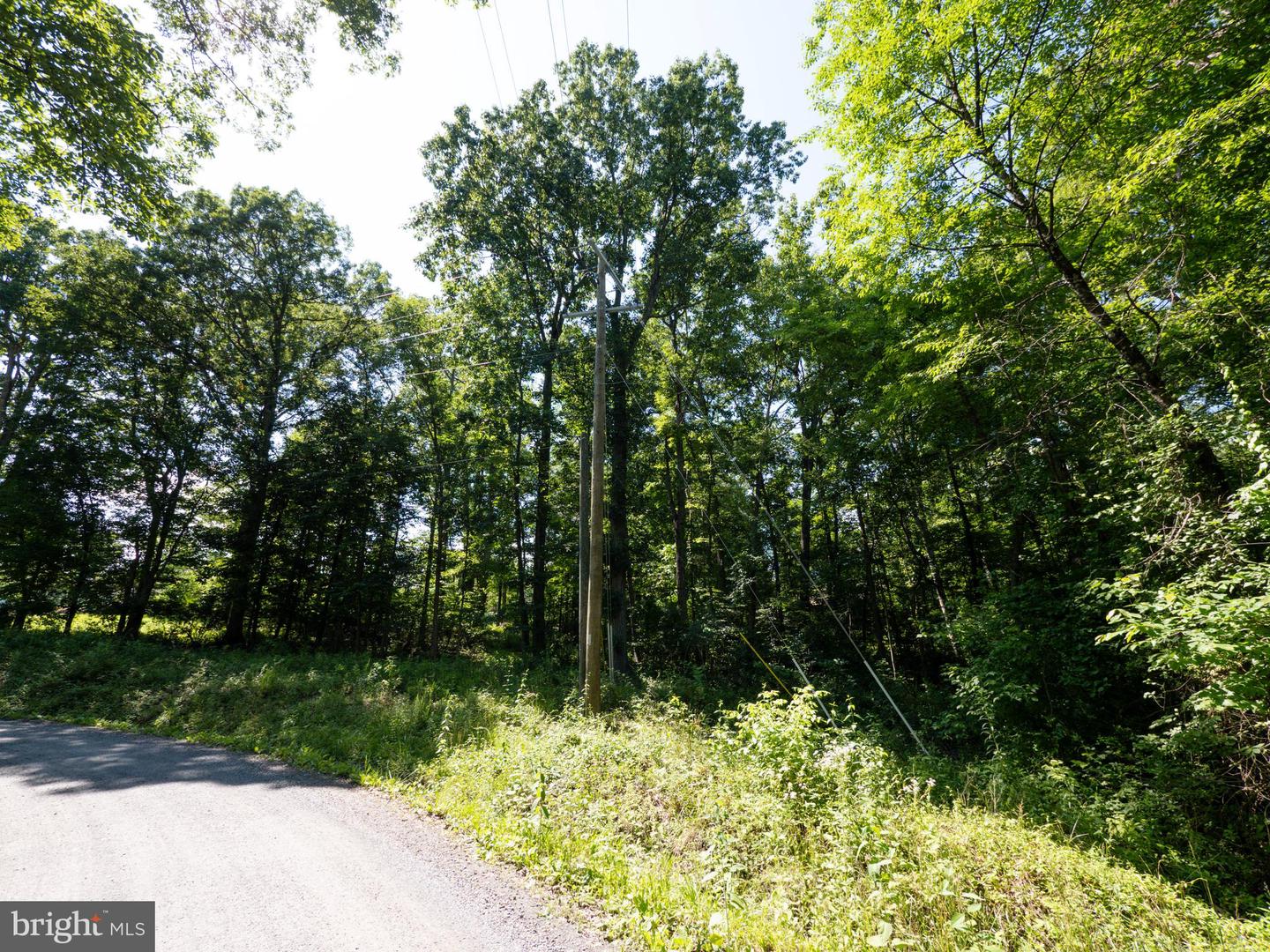 LOT 358 WESTERN LN, FRONT ROYAL, Virginia 22630, ,Land,For sale,LOT 358 WESTERN LN,VAWR2011566 MLS # VAWR2011566
