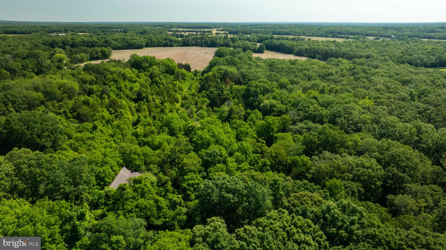 11326 ROGUES ROAD, MIDLAND, Virginia 22728, ,Land,For sale,11326 ROGUES ROAD,VAFQ2017180 MLS # VAFQ2017180