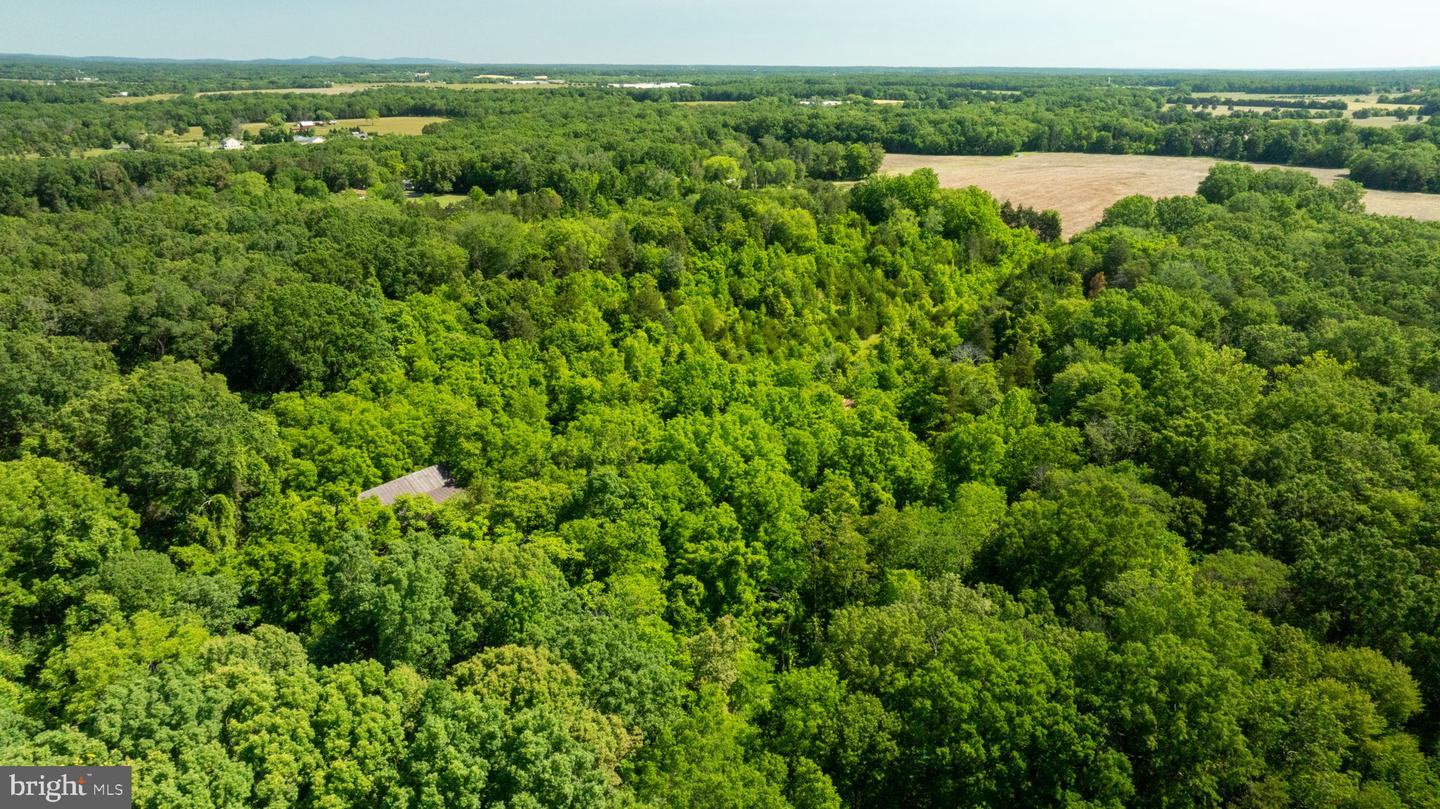 11326 ROGUES ROAD, MIDLAND, Virginia 22728, ,Land,For sale,11326 ROGUES ROAD,VAFQ2017180 MLS # VAFQ2017180