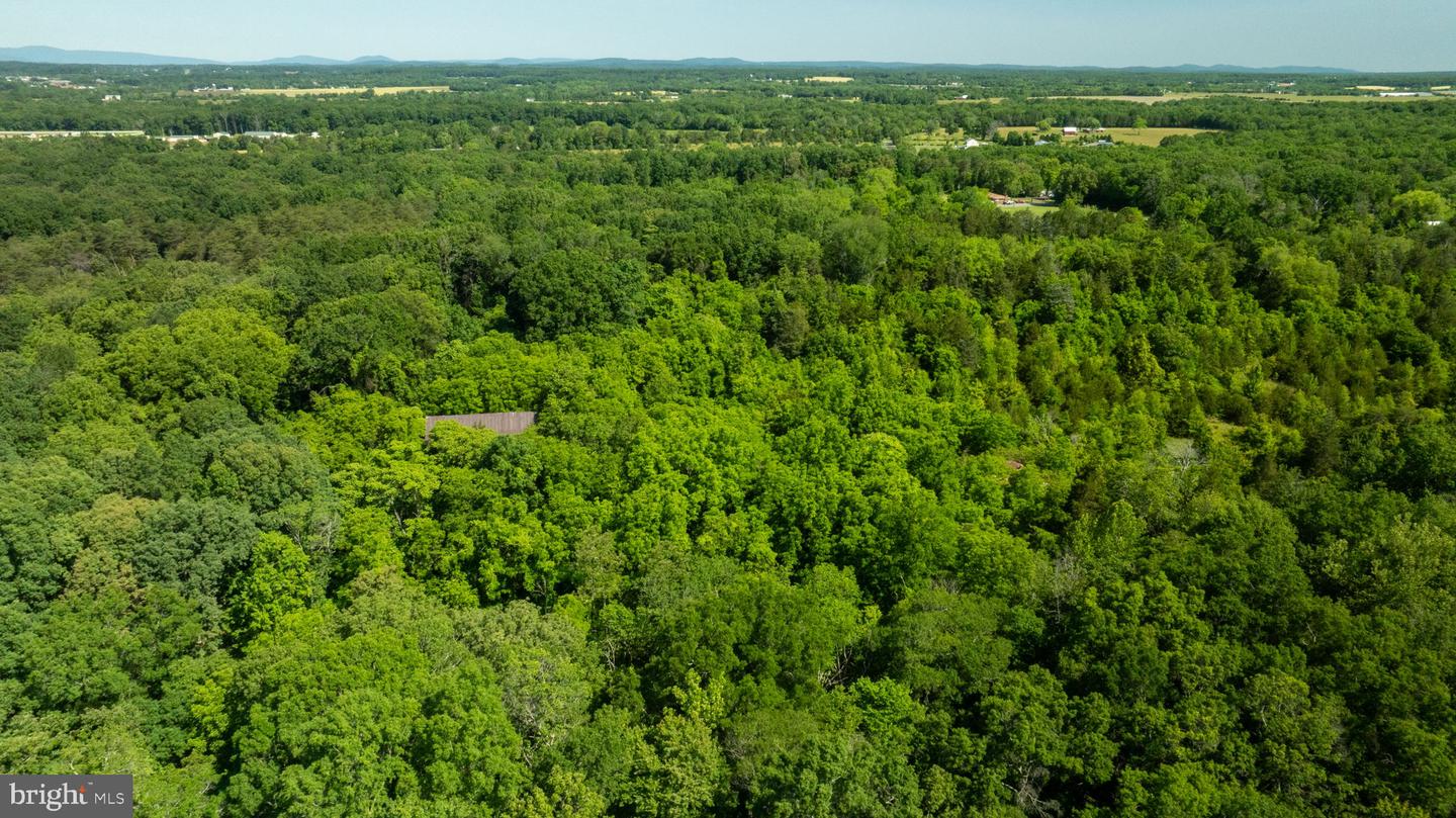 11326 ROGUES ROAD, MIDLAND, Virginia 22728, ,Land,For sale,11326 ROGUES ROAD,VAFQ2017180 MLS # VAFQ2017180