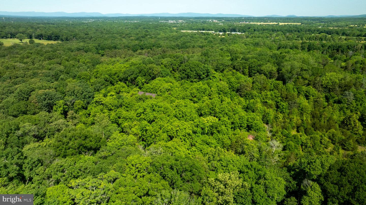 11326 ROGUES ROAD, MIDLAND, Virginia 22728, ,Land,For sale,11326 ROGUES ROAD,VAFQ2017180 MLS # VAFQ2017180