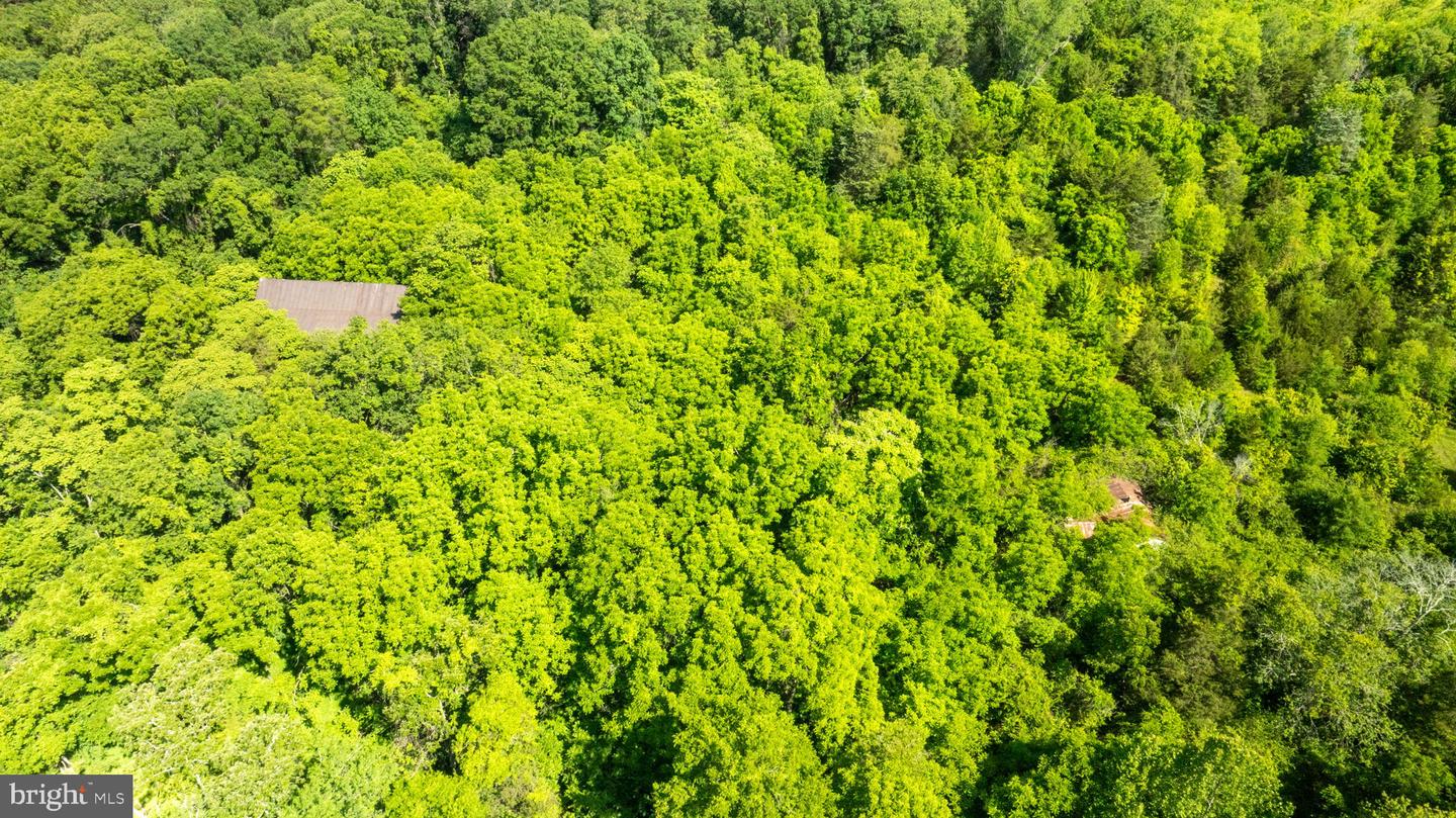 11326 ROGUES ROAD, MIDLAND, Virginia 22728, ,Land,For sale,11326 ROGUES ROAD,VAFQ2017180 MLS # VAFQ2017180