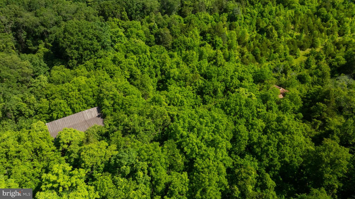 11326 ROGUES ROAD, MIDLAND, Virginia 22728, ,Land,For sale,11326 ROGUES ROAD,VAFQ2017180 MLS # VAFQ2017180