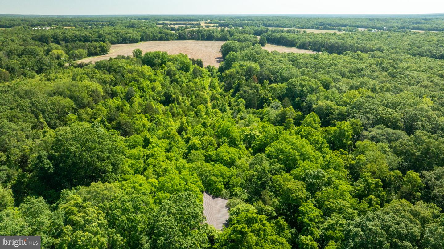 11326 ROGUES ROAD, MIDLAND, Virginia 22728, ,Land,For sale,11326 ROGUES ROAD,VAFQ2017180 MLS # VAFQ2017180