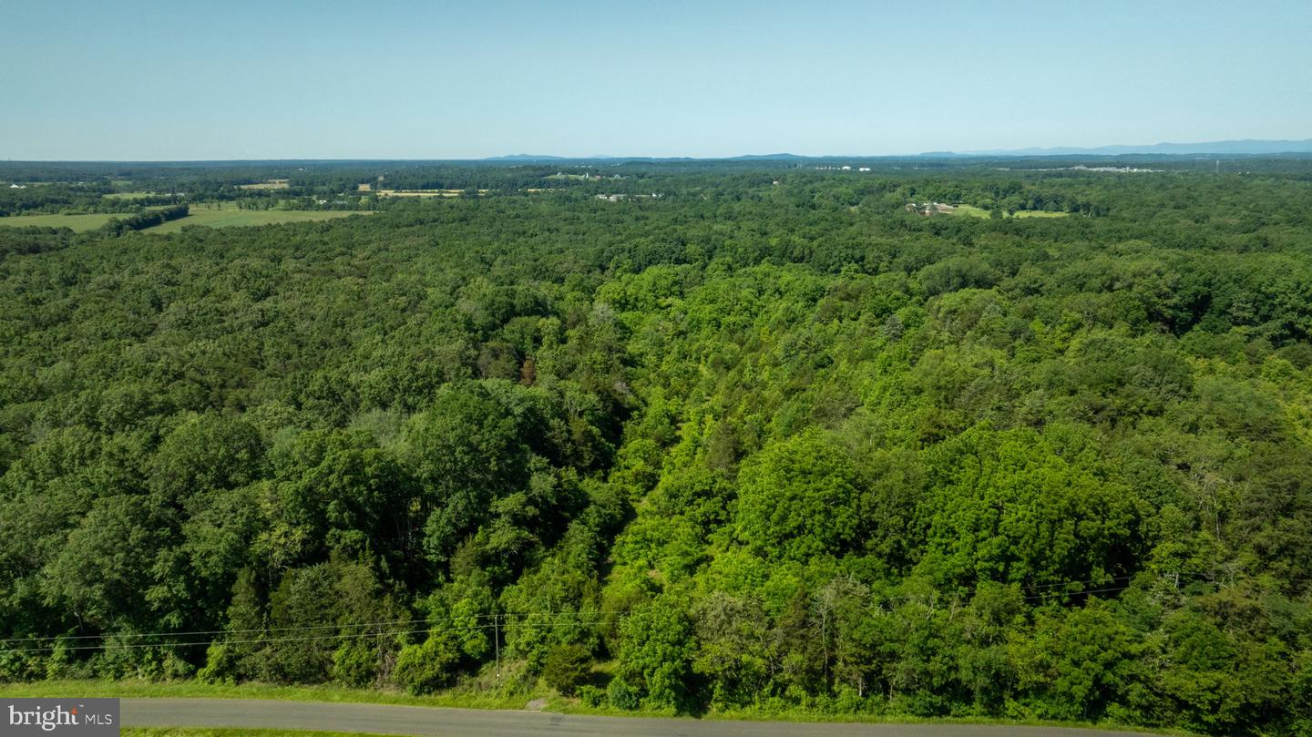 11326 ROGUES ROAD, MIDLAND, Virginia 22728, ,Land,For sale,11326 ROGUES ROAD,VAFQ2017180 MLS # VAFQ2017180