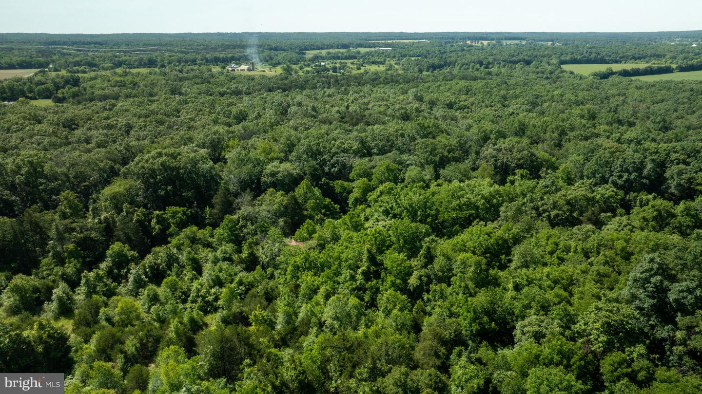 11326 ROGUES ROAD, MIDLAND, Virginia 22728, ,Land,For sale,11326 ROGUES ROAD,VAFQ2017180 MLS # VAFQ2017180