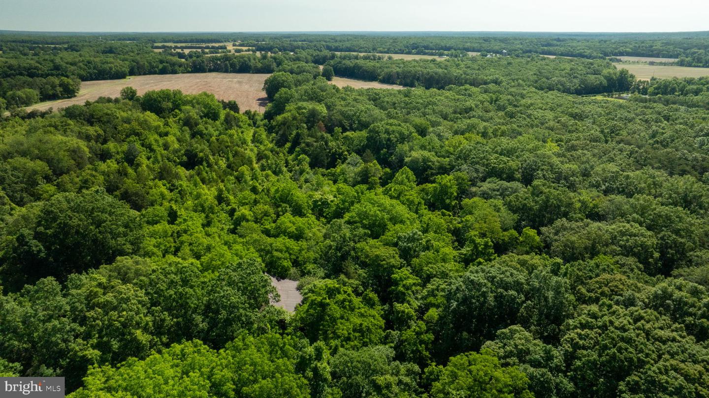 11326 ROGUES ROAD, MIDLAND, Virginia 22728, ,Land,For sale,11326 ROGUES ROAD,VAFQ2017180 MLS # VAFQ2017180