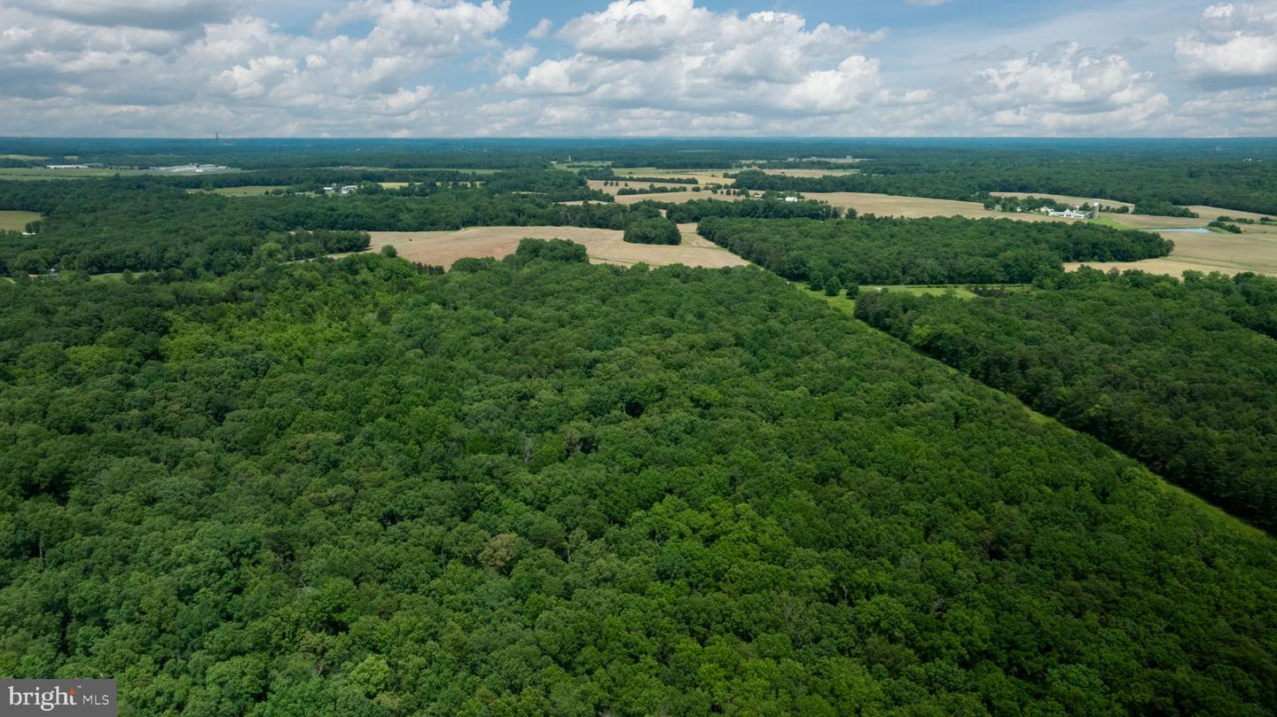 11326 ROGUES ROAD S, MIDLAND, Virginia 22728, ,Land,For sale,11326 ROGUES ROAD S,VAFQ2017182 MLS # VAFQ2017182