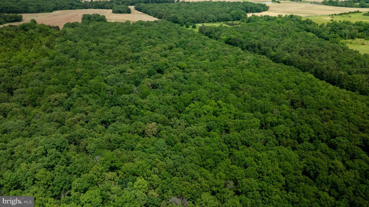 11326-LAND-SOUTH ROGUES ROAD, MIDLAND, Virginia 22728, ,Land,For sale,11326-LAND-SOUTH ROGUES ROAD,VAFQ2017182 MLS # VAFQ2017182