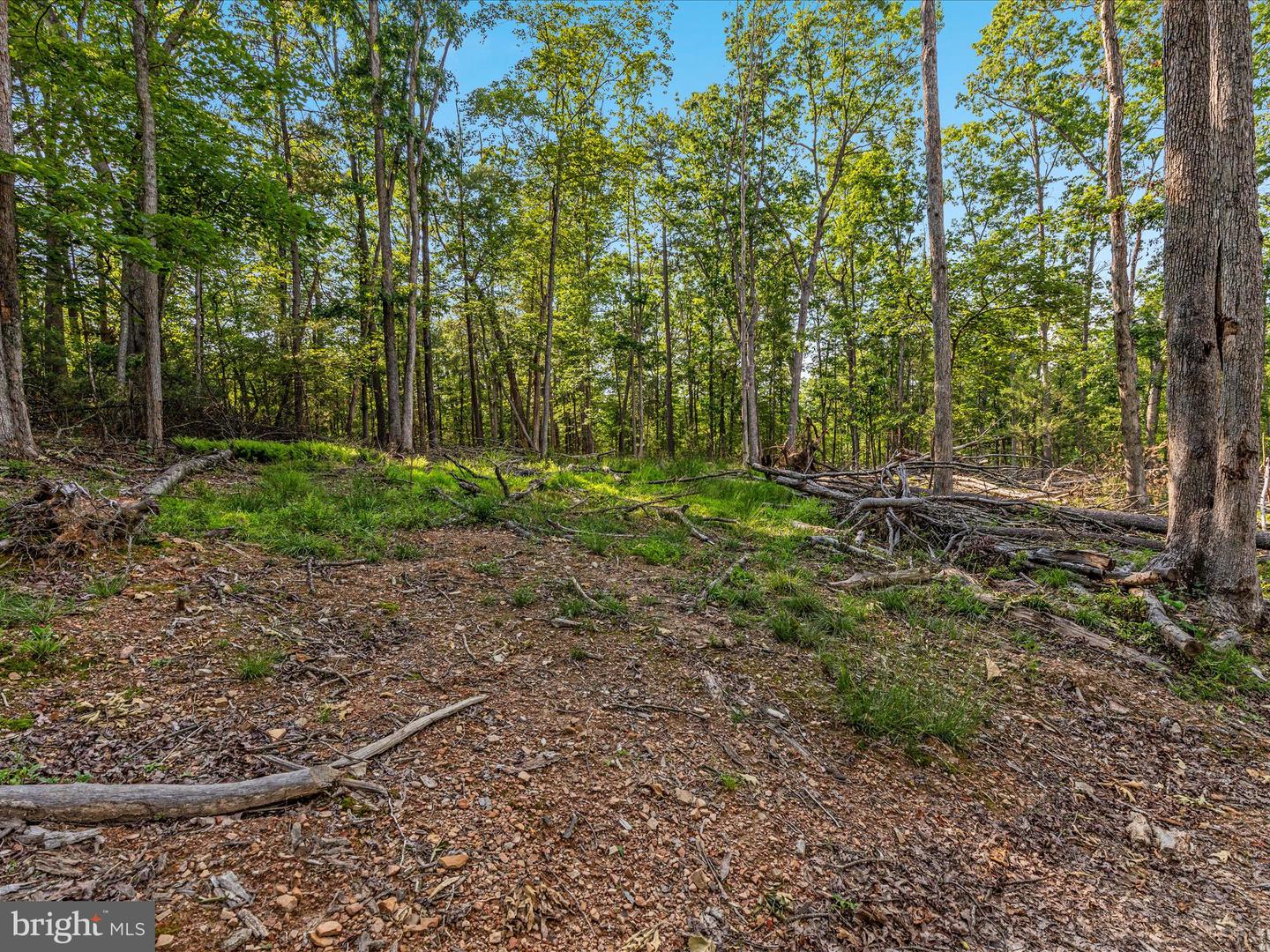 417 MALLARD DR, BASYE, Virginia 22810, 4 Bedrooms Bedrooms, ,3 BathroomsBathrooms,Residential,For sale,417 MALLARD DR,VASH2011642 MLS # VASH2011642