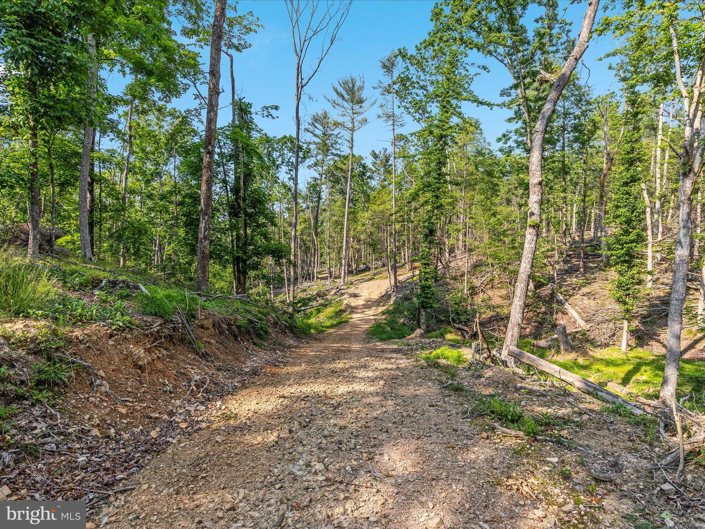 417 MALLARD DR, BASYE, Virginia 22810, 4 Bedrooms Bedrooms, ,3 BathroomsBathrooms,Residential,For sale,417 MALLARD DR,VASH2011642 MLS # VASH2011642