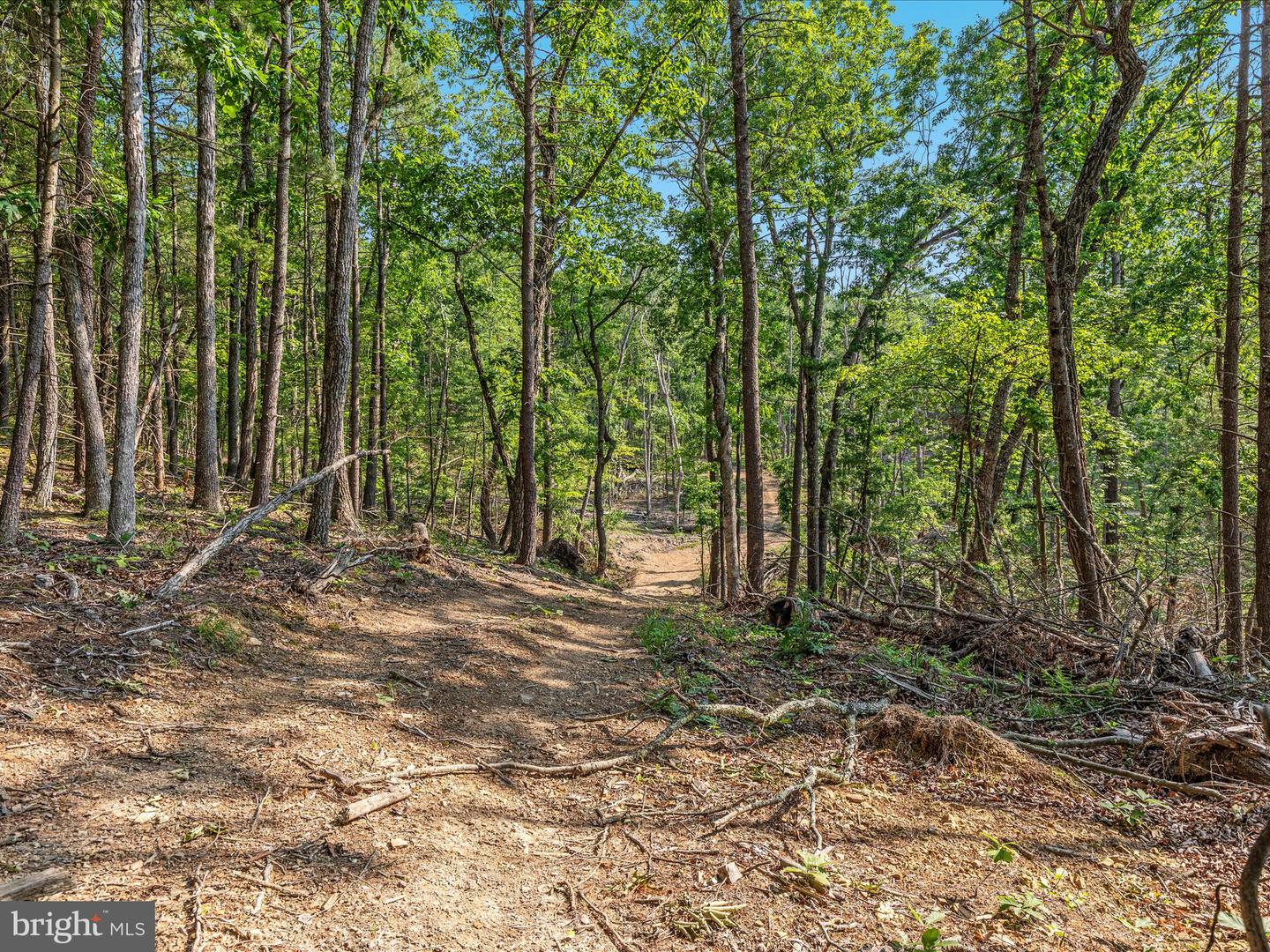 417 MALLARD DR, BASYE, Virginia 22810, 4 Bedrooms Bedrooms, ,3 BathroomsBathrooms,Residential,For sale,417 MALLARD DR,VASH2011642 MLS # VASH2011642