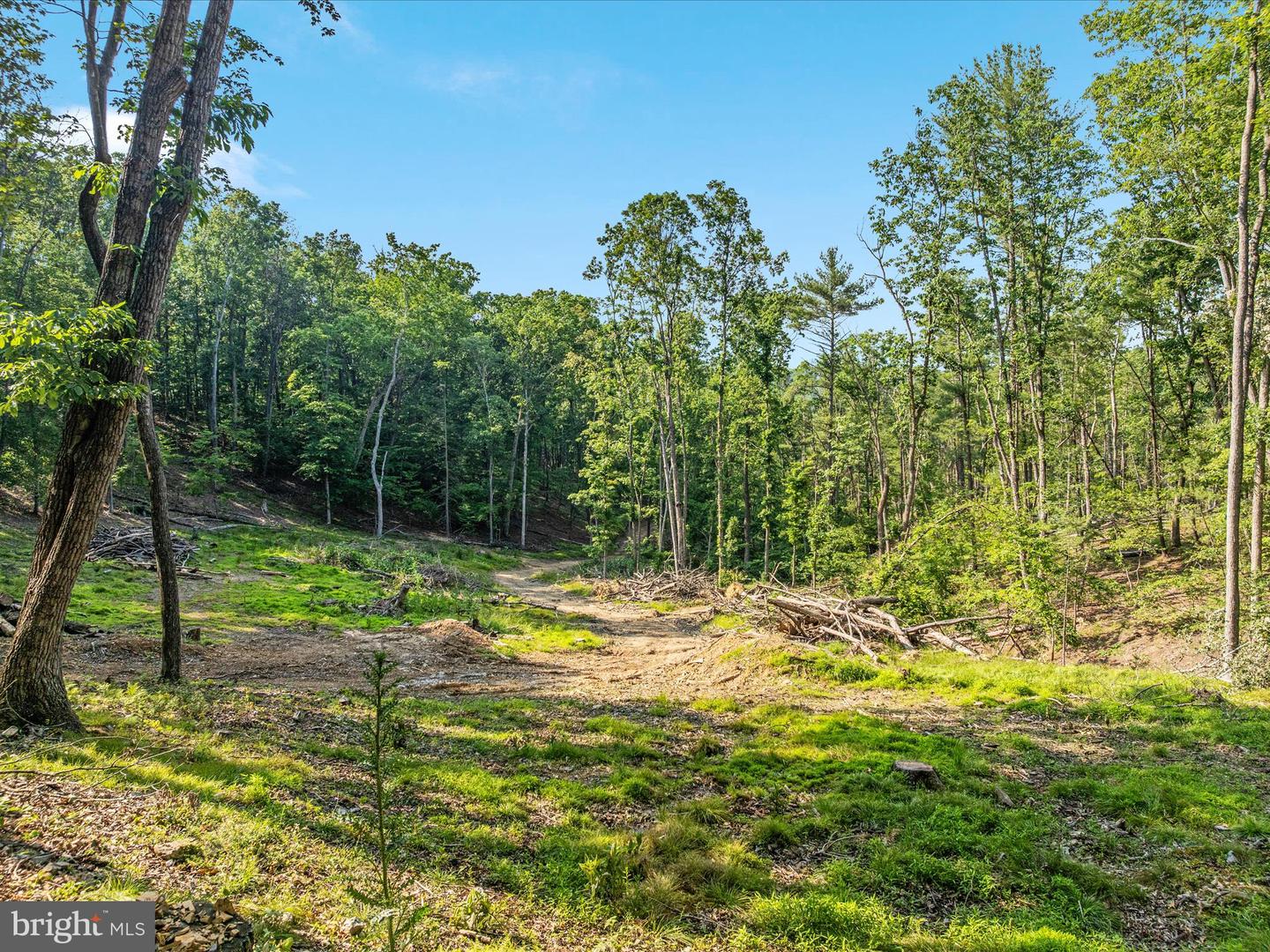417 MALLARD DR, BASYE, Virginia 22810, 4 Bedrooms Bedrooms, ,3 BathroomsBathrooms,Residential,For sale,417 MALLARD DR,VASH2011642 MLS # VASH2011642