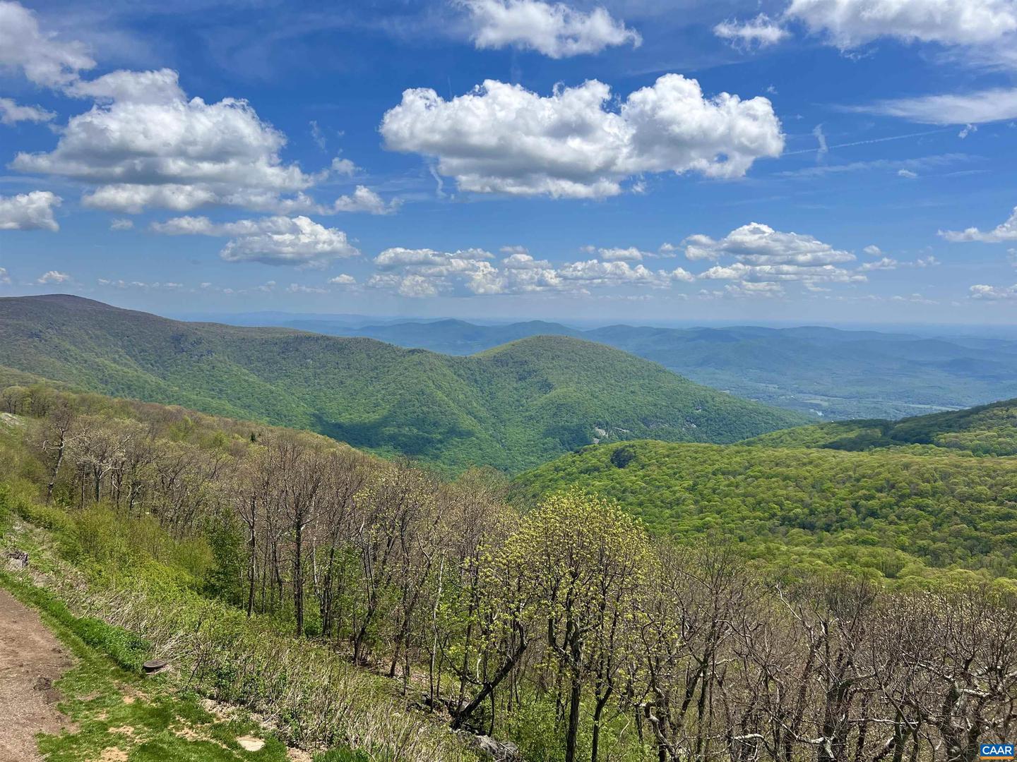 1531 CLIFFS CONDOS, WINTERGREEN RESORT, Virginia 22967, 2 Bedrooms Bedrooms, ,2 BathroomsBathrooms,Residential,For sale,1531 CLIFFS CONDOS,658769 MLS # 658769
