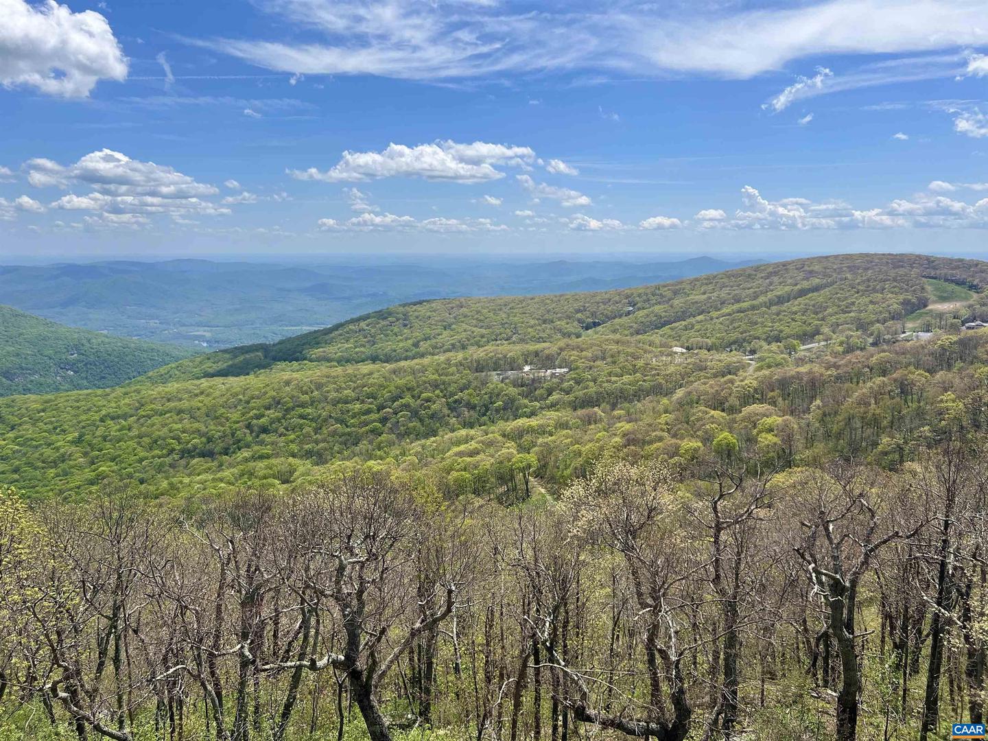 1531 CLIFFS CONDOS, WINTERGREEN RESORT, Virginia 22967, 2 Bedrooms Bedrooms, ,2 BathroomsBathrooms,Residential,For sale,1531 CLIFFS CONDOS,658769 MLS # 658769