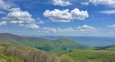 1531 CLIFFS CONDOS, WINTERGREEN RESORT, Virginia 22967, 2 Bedrooms Bedrooms, ,2 BathroomsBathrooms,Residential,For sale,1531 CLIFFS CONDOS,658769 MLS # 658769