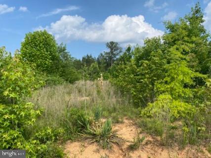 LOT 6 CHRISTANNA HWY #6, LAWRENCEVILLE, Virginia 23868, ,Land,For sale,LOT 6 CHRISTANNA HWY #6,VABW2000076 MLS # VABW2000076