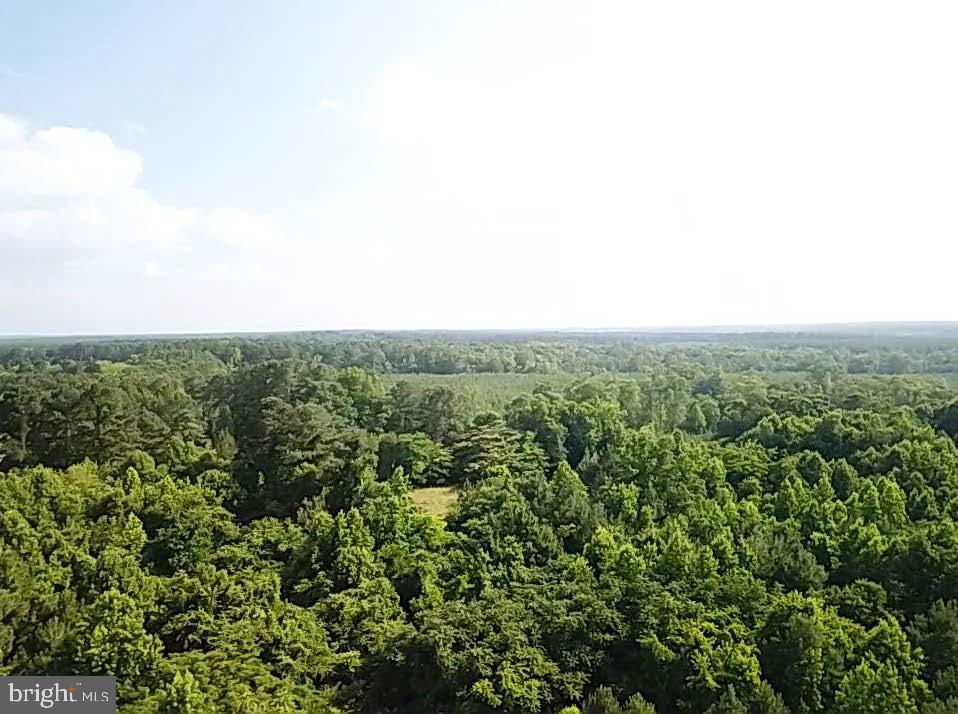 LOT 6 CHRISTANNA HWY #6, LAWRENCEVILLE, Virginia 23868, ,Land,For sale,LOT 6 CHRISTANNA HWY #6,VABW2000076 MLS # VABW2000076