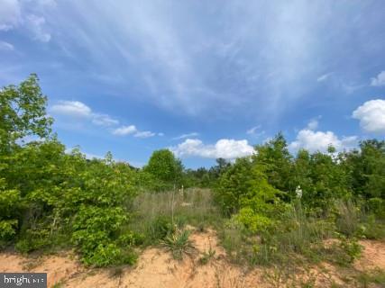 LOT 7 CHRISTANNA HWY, LAWRENCEVILLE, Virginia 23868, ,Land,For sale,LOT 7 CHRISTANNA HWY,VABW2000078 MLS # VABW2000078